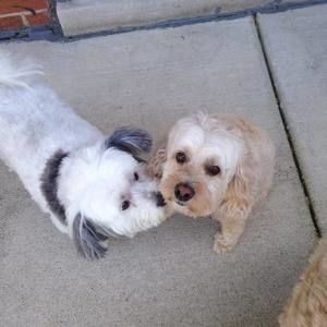 Meet your Posher, Lori